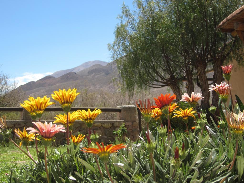 Posada Campo Morado Huacalera Bagian luar foto